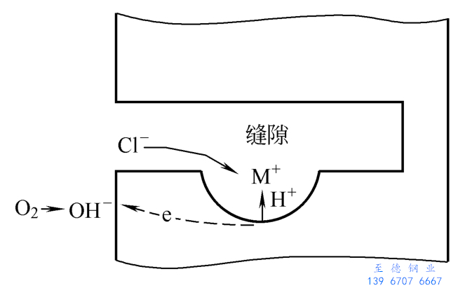 圖3.jpg