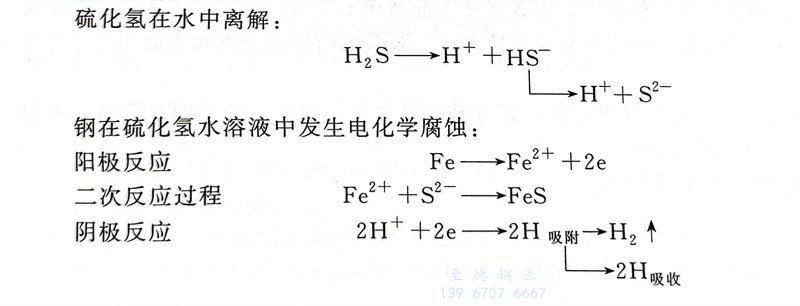 雜 1.jpg